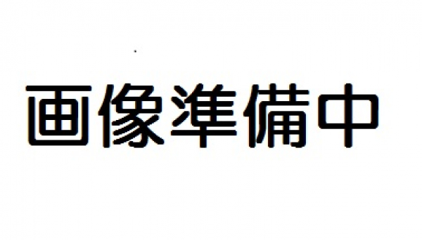 アンピール箱崎の間取図