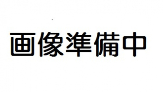 アンピール箱崎の間取図