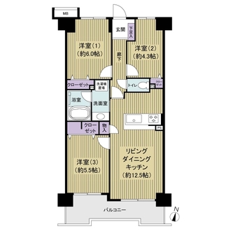 ソルフェスタ赤羽の間取図
