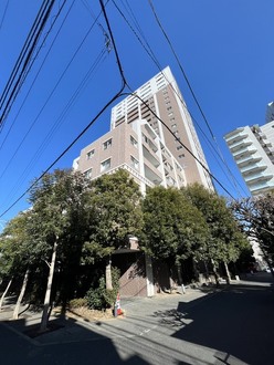 レグノ・セレーノ