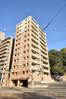 パークハウス比治山の外観