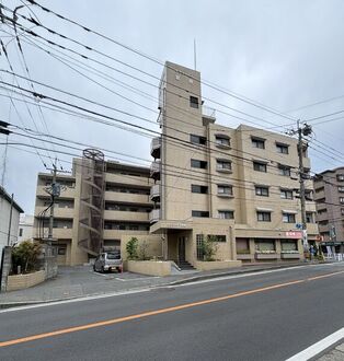 サンシャイン室見の外観