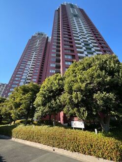 ＴＨＥ　ＴＯＷＥＲＳ　ＤＡＩＢＡの外観