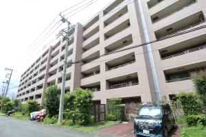 クリオ溝の口壱番館の外観