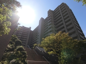 コスモシティ住吉川公園の外観