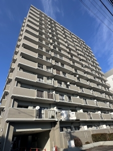 藤和シティコープ勝川の外観