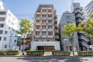 ワコーレアーバンヴュー熊内の外観