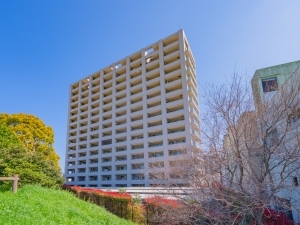 グランイーグル多摩川スカイフロントの外観