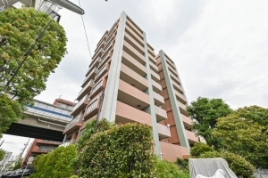 ライオンズグローベル桜新町