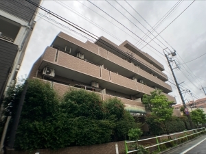 ライオンズマンション西高島平溝下公園弐番館の外観