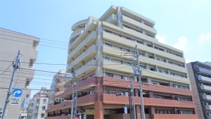 ダイアパレス文京の外観