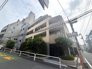 ラグジュアリーアパートメント西新宿