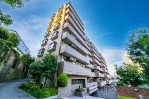 ライオンズマンション乃木坂の外観