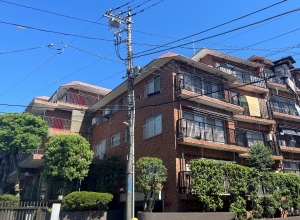 ＤＩＫマンション南多摩川の外観