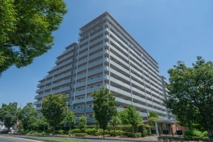 センターフィールド浦和美園参番街