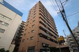 ライオンズマンション南浦和プラザの外観
