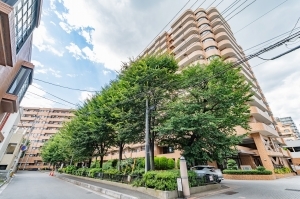 ライオンズプラザ大宮の外観