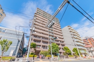 ダイアパレス京成曳舟の外観