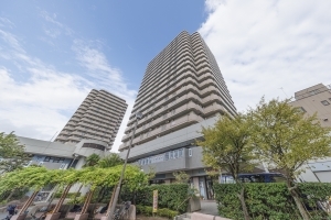 ツインタワー住利　住吉館の外観
