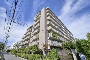 ライネスハイム志村の外観