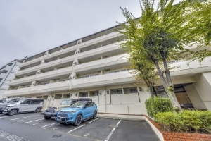 ゾンネンハイム大橋