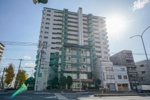 ライオンズヴィアーレ下沢通