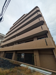 ダイアパレスレイクビュー井尻の外観