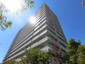 ミリカ・テラスＩＩ街区の外観