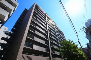 ライオンズプラザ錦糸町の外観