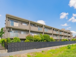 ソフィア大井町