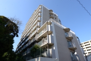 パークハイツ桜坂の外観