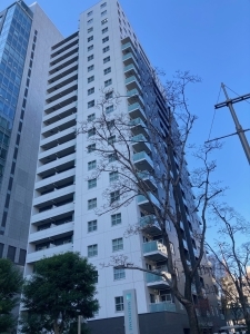 スカイグランデ汐留の外観