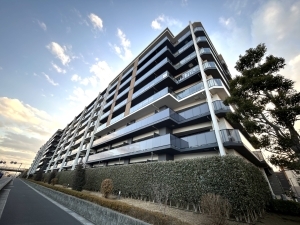 シティテラス越谷レイクタウンの外観