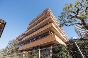 ライオンズマンション新川崎の外観