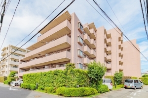 クリオ溝の口壱番館の外観