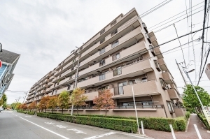 ダイアパレスグランデ西台の外観