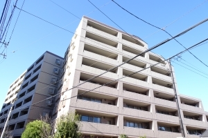 ライオンズヴィアーレ浦和壱番館の外観