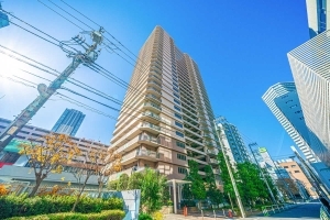 ライオンズタワー池袋