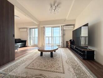 リコット岡崎城の外観