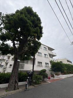 パシフィック魚籃坂の外観