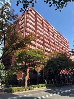 シヤンボール大名の外観