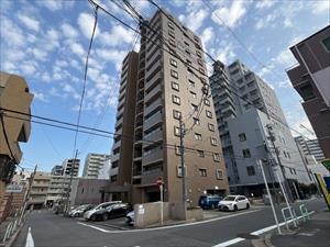 ダイアパレス・ステーションプラザ金山の外観