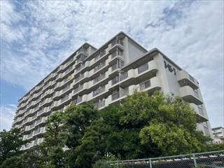 東砂３丁目ハイツの外観