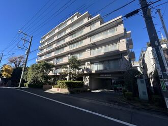 ヒルズ武蔵小杉の外観