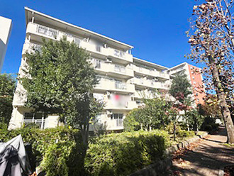 光が丘パークタウンゆりの木通り北