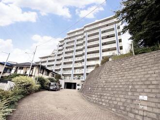 Dクラディア藤沢善行