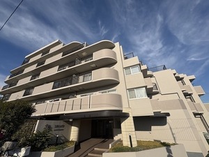 武庫川公園レックスマンションの外観