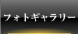 PHOTO GALLERY - フォトギャラリー