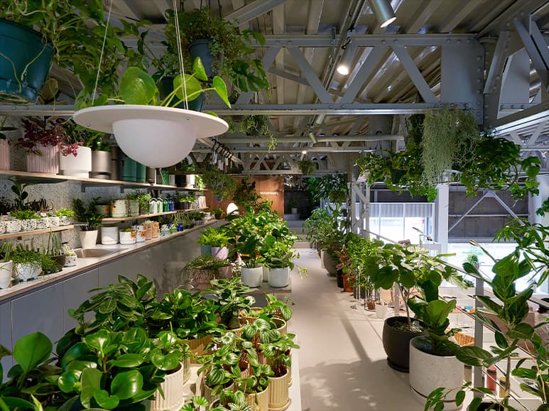 The Plant Society Tokyo Flagship(江東区三好)