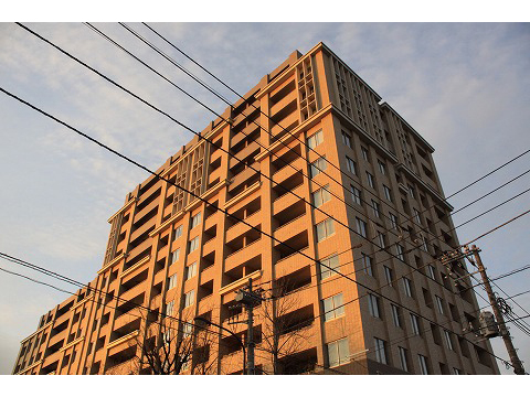 ライオンズ浜田山セントマークス-0-0